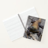 Komodo Dragon Nature Journal Notizblock (Innenseite)