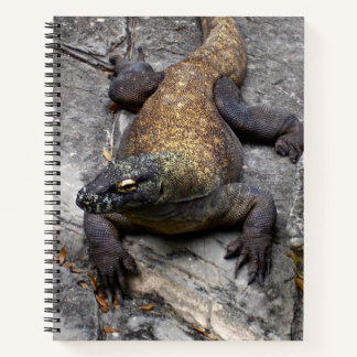 Komodo Dragon Nature Journal Notizblock