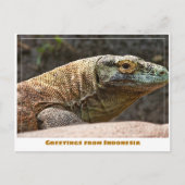 Komodo Dragon of Indonesia Modern Postkarte (Vorderseite)