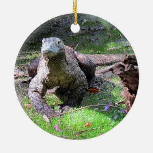 Komodo Dragon Ornament (Hinten)