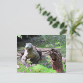 Komodo Dragon Postcard Postkarte (Stehend Vorderseite)