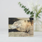 Komodo Dragon Postcard Postkarte (Stehend Vorderseite)