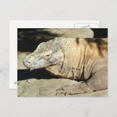 Komodo Dragon Postcard Postkarte (Vorne/Hinten)