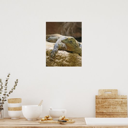 Komodo Dragon Poster (Küche)