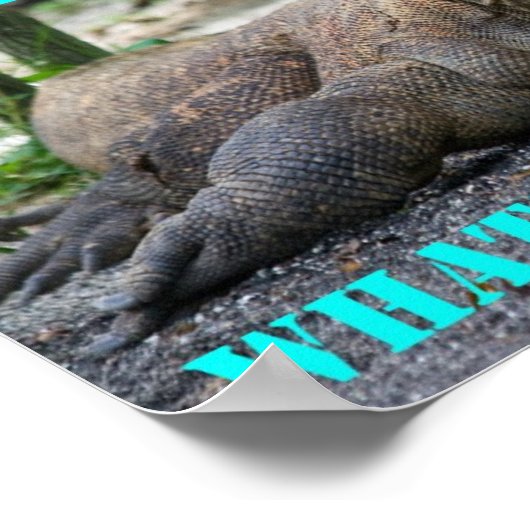 Komodo Dragon Poster (Ecke)