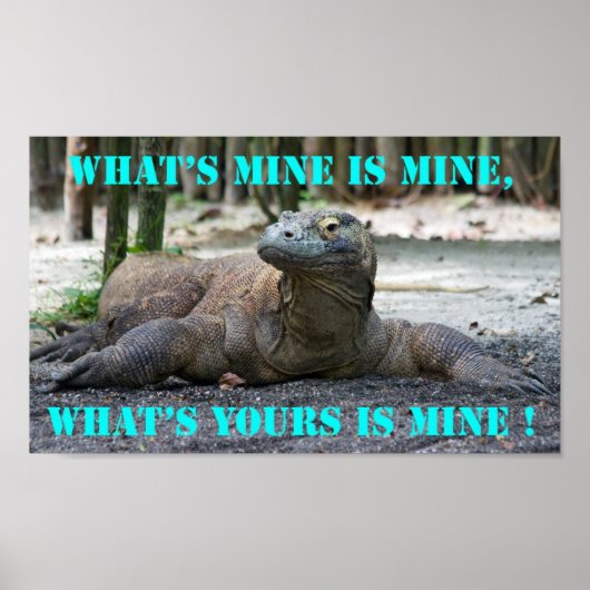 Komodo Dragon Poster (Vorne)