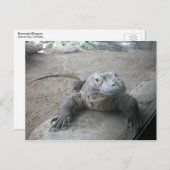 Komodo Dragon Postkarte (Vorne/Hinten)