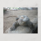 Komodo Dragon Postkarte (Vorderseite)
