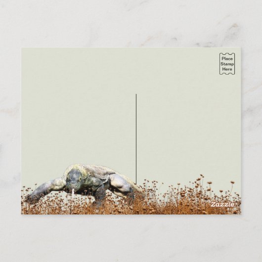 Komodo Dragon Postkarte (Rückseite)