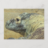 Komodo Dragon Postkarte (Vorderseite)