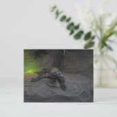 Komodo Dragon Postkarte (Stehend Vorderseite)