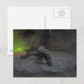 Komodo Dragon Postkarte (Vorne/Hinten)