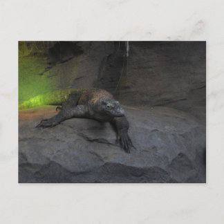 Komodo Dragon Postkarte