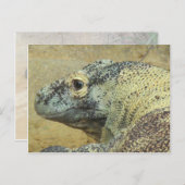 Komodo Dragon Postkarte (Vorne/Hinten)