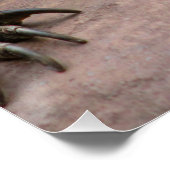 Komodo Dragon Protector Poster (Ecke)