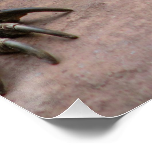 Komodo Dragon Protector Poster (Ecke)