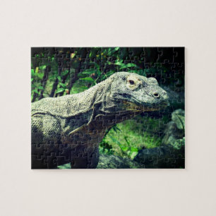 Komodo Dragon Puzzle