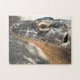 Komodo Dragon Puzzle