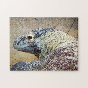 Komodo Dragon Puzzle
