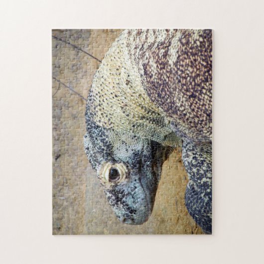 Komodo Dragon Puzzle (Vertikal)