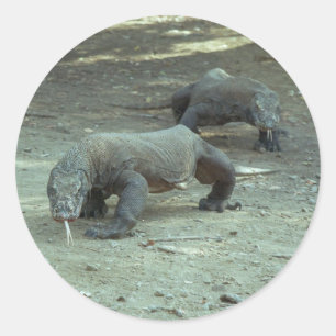 Komodo Dragon Sticker