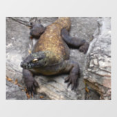 Komodo Dragon Sunlit Rock Scene Fensteraufkleber (Blatt)