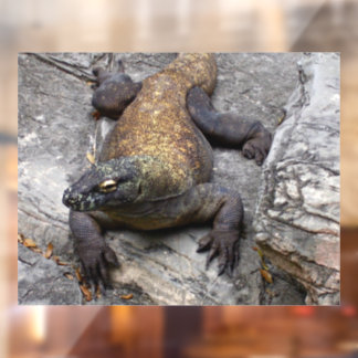 Komodo Dragon Sunlit Rock Scene Fensteraufkleber