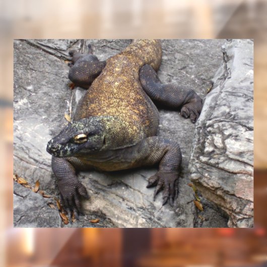Komodo Dragon Sunlit Rock Scene Fensteraufkleber (Blatt 2)