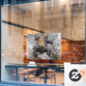 Komodo Dragon Sunlit Rock Scene Fensteraufkleber (Café-Fenster)