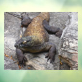Komodo Dragon Sunlit Rock Scene Fensteraufkleber (Blatt 3)