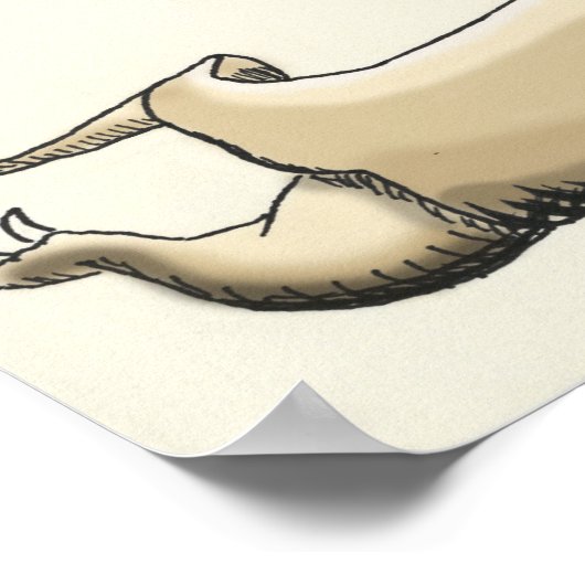 Komodo Dragon trivia Poster (Ecke)