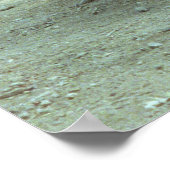 Komodo Dragons Poster (Ecke)