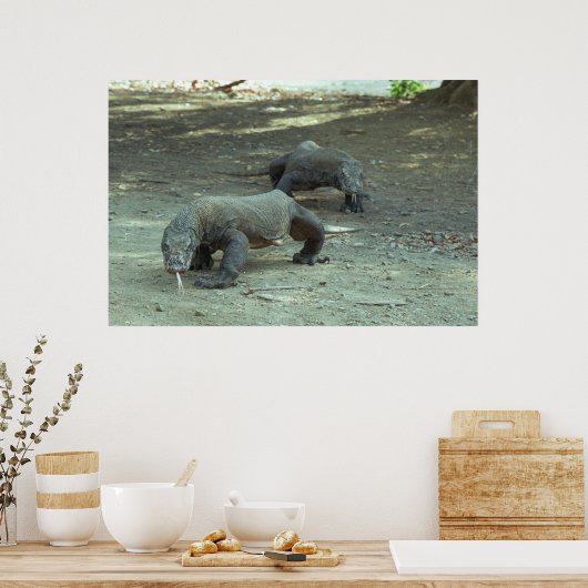 Komodo Dragons Poster (Küche)