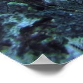 Komodo Kuttlefish Poster (Ecke)