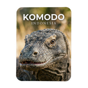Komodo-Nationalpark Indonesien Magnet