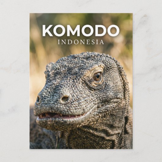 Komodo-Nationalpark Indonesien Postkarte (Vorderseite)