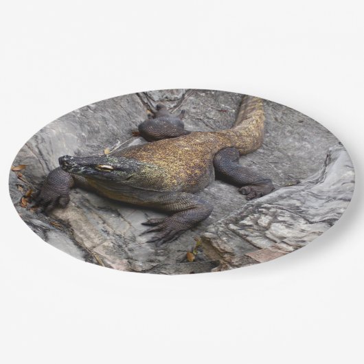 Komodo Pappteller (Schrägansicht)