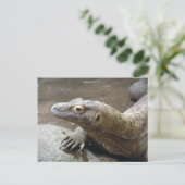 Komodo Profil Postkarte (Stehend Vorderseite)