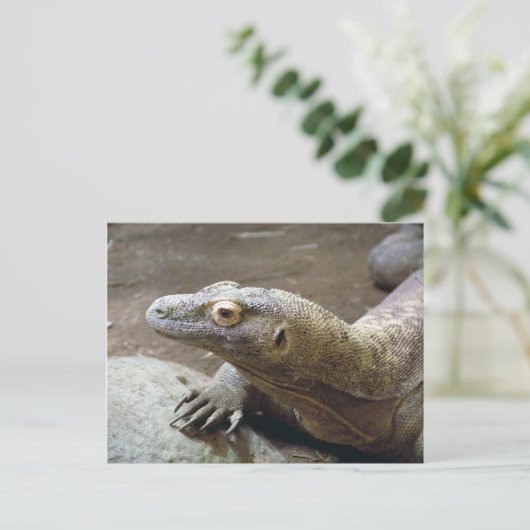 Komodo Profil Postkarte (Stehend Vorderseite)