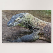 Komododrache Puzzle (Horizontal)