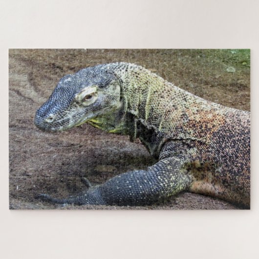 Komododrache Puzzle (Horizontal)