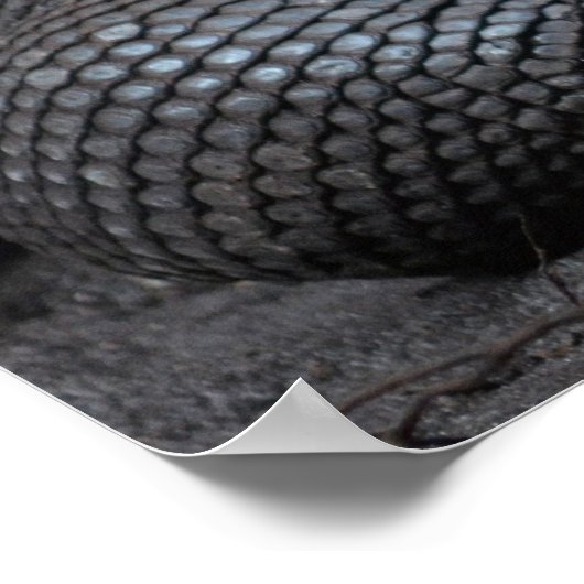 Komododrachenherzen Poster (Ecke)