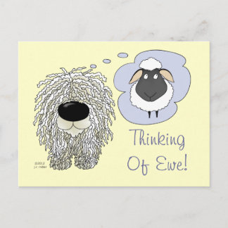 Komondor - Denken an Ewe Postkarte
