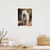 Komondor Dog Art Print Poster (Küche)