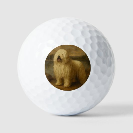 Komondor Golfball (Vorderseite)