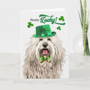 Komondor Hund fühlt sich am St. Patrick's Day glüc Feiertagskarte