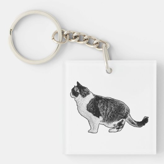 Kompakte Katze, sanfter Blick Schlüsselanhänger (Vorderseite)