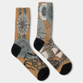 Kompass-Rose Vintages Nautical Octopus-Schiff Socken (Rechts)