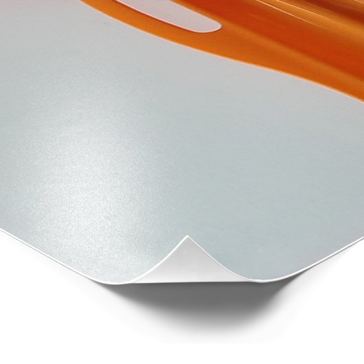 KOMPLEMENTE DES KOCH FOTODRUCK (Ecke)