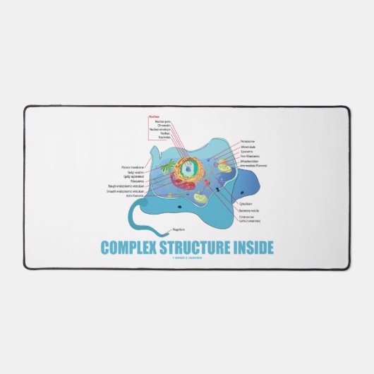 Komplexe Struktur innerhalb der Eukaryotischen Zel Schreibtischunterlage (Vorderseite)